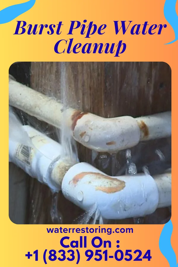 Burst Pipe Water Cleanup in Wanaque, NJ