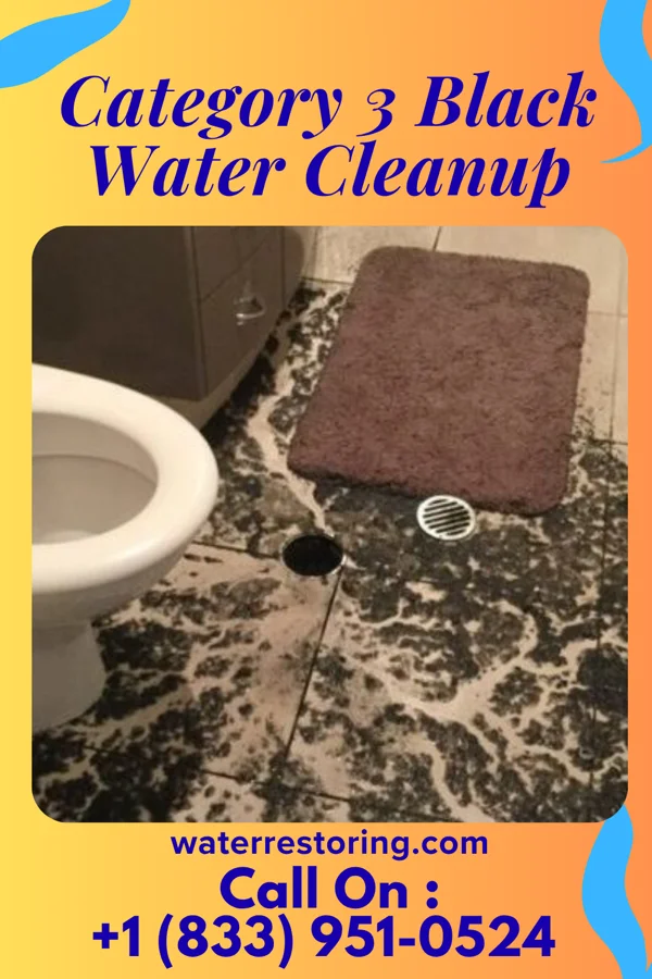 Category 3 Black Water Cleanup in Wanaque, NJ