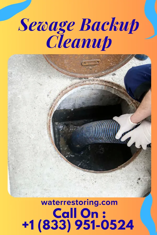 Sewage Backup Cleanup in Wanaque, NJ